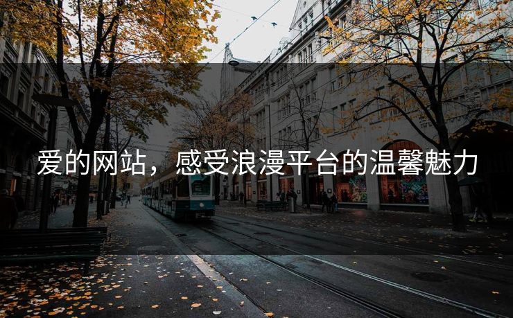 爱的网站，感受浪漫平台的温馨魅力