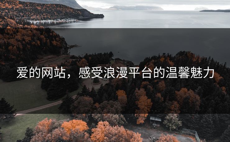 爱的网站，感受浪漫平台的温馨魅力
