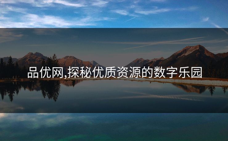品优网,探秘优质资源的数字乐园