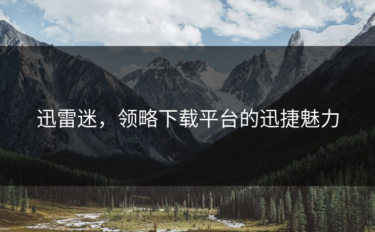 迅雷迷，领略下载平台的迅捷魅力