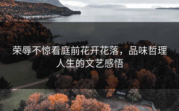 荣辱不惊看庭前花开花落，品味哲理人生的文艺感悟