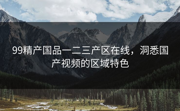 99精产国品一二三产区在线，洞悉国产视频的区域特色