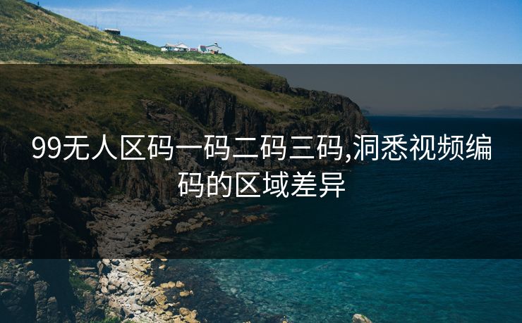 99无人区码一码二码三码,洞悉视频编码的区域差异