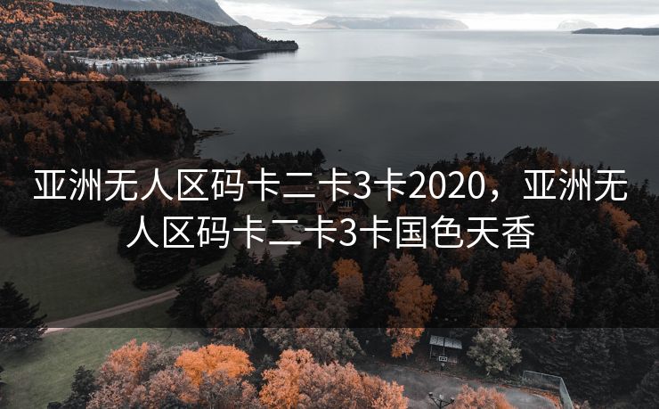 亚洲无人区码卡二卡3卡2020，亚洲无人区码卡二卡3卡国色天香