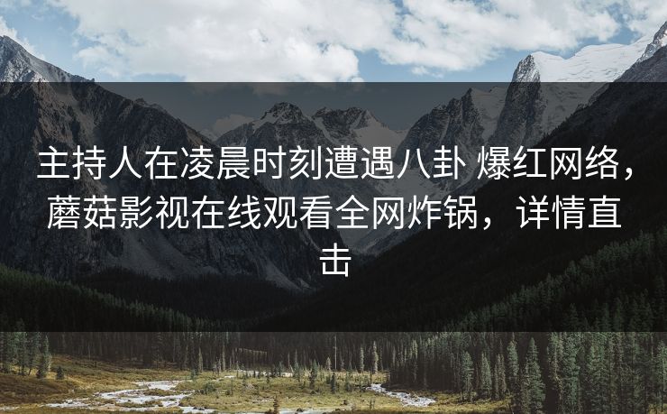 主持人在凌晨时刻遭遇八卦 爆红网络，蘑菇影视在线观看全网炸锅，详情直击