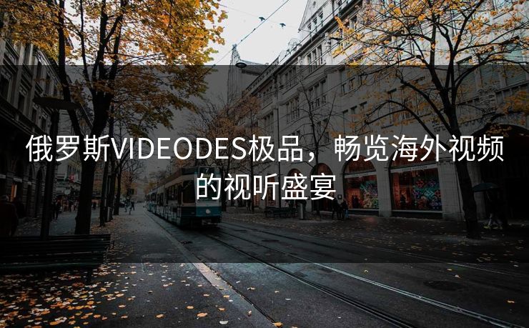 俄罗斯VIDEODES极品，畅览海外视频的视听盛宴