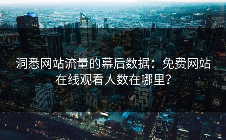 洞悉网站流量的幕后数据：免费网站在线观看人数在哪里？