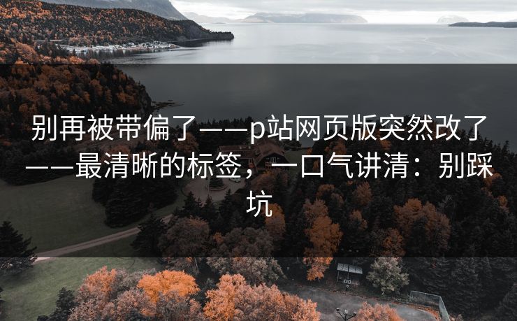 别再被带偏了——p站网页版突然改了——最清晰的标签,一口气讲清:别踩坑 别再被带偏了——p站网页版突然改了——最清晰的标签,一口气讲清:别踩坑